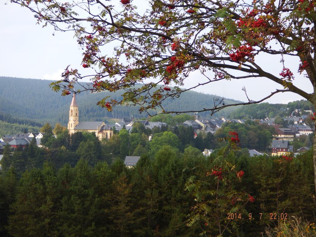 Ferienvermietung Engelstaedter Oberwiesenthal Phòng bức ảnh